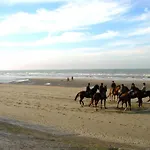 公寓 In With Sea Views