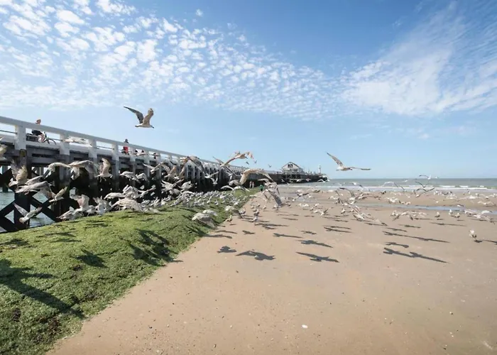 公寓 In With Sea Views *